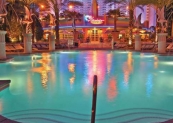 beach_club_pool_flamingo