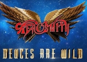 aerosmith 2020