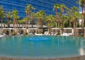 Piscine du Hard Rock beachlife