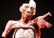 Bodies : l'exposition sur le corps humain