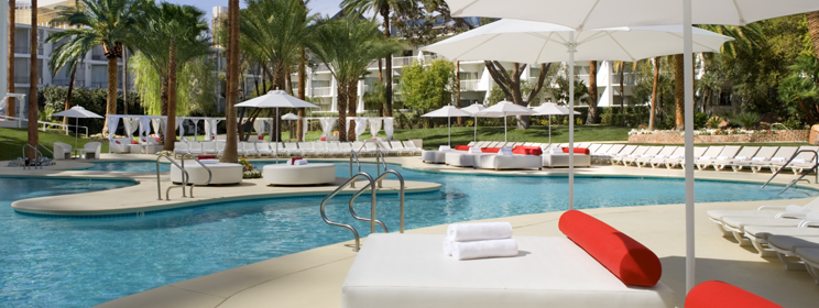Tropicana Piscine 1