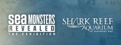 shark reef aquarium