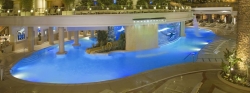 The Tank at Golden Nugget Pool